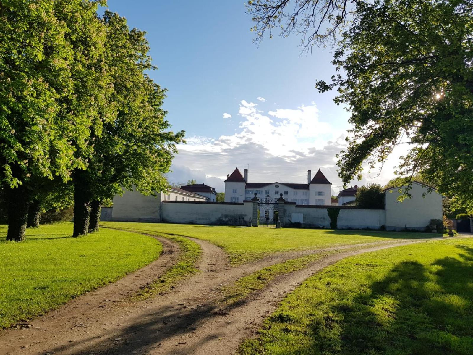 Chateau Des Perichons Poncins Exterior foto